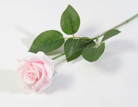 Роза с латексным покрытием открытая светло-розовая