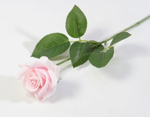 Роза с латексным покрытием открытая светло-розовая