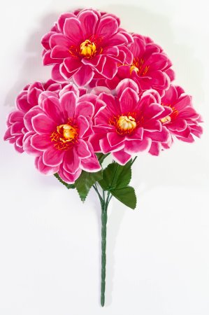 Букет " Лопуха" 6 веток  6 цветков