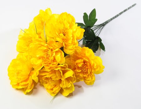 Пион "Натула" 7 цветков