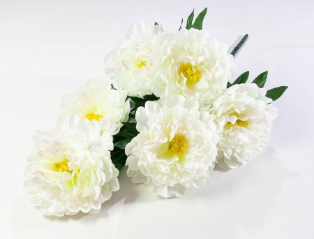 Пион Звездопад 6 цветков