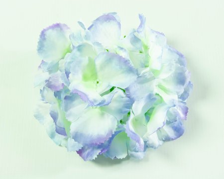 Насадка гортензии