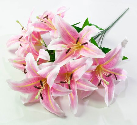 Лилия "Арабская ночь" 7 цветков