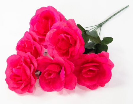 Букет роз Астолат 6 цветков