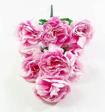 Пион великан9 цветков от магазина KALINA являющийся официальным дистрибьютором в России 