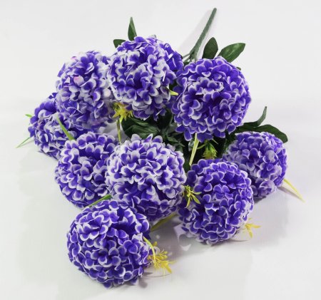 Шафран «Пурпур» 9 цветков