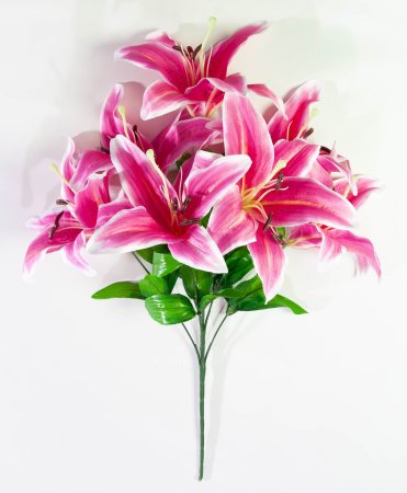 Лилия "Арабская ночь" 7 цветков