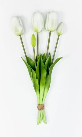 Тюльпан "Корона весны" белый 