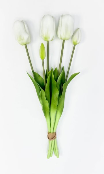 Тюльпан "Корона весны" белый 