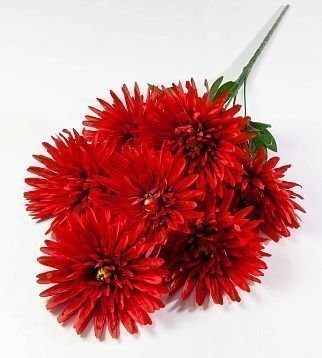 Хризантема "Танго" 7 цветков от магазина KALINA являющийся официальным дистрибьютором в России 