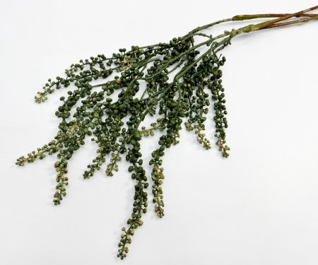 картинка Фитолакка зеленая от магазина KALINA