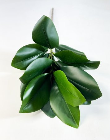 картинка Ветка магнолии 13 листов от магазина KALINA