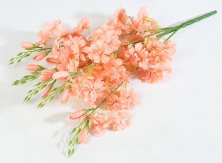 Яблоня "Астарта" 5 веток