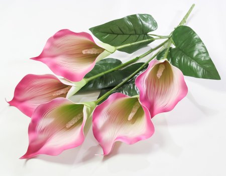 Букет калла 5 цветков