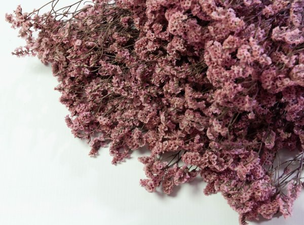 Лимониум стабилизированный