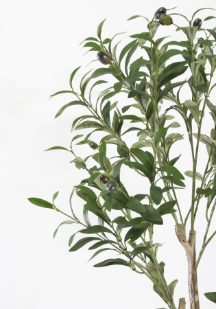 Куст оливы большой 180 см БЕЗ КАШПО