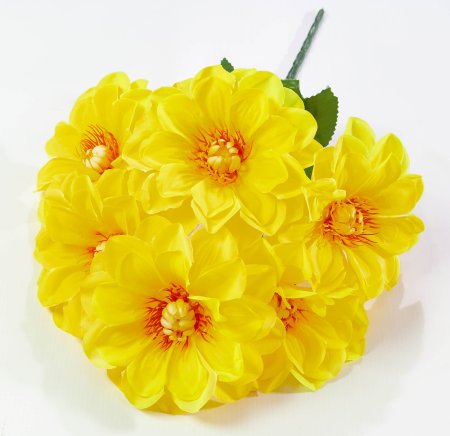 Букет " Лопуха" 6 веток  6 цветков