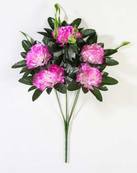 Букет гвоздик "Вихрь" 5 цветков