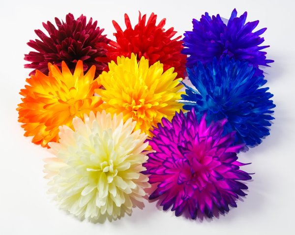 Насадка хризантемы средняя