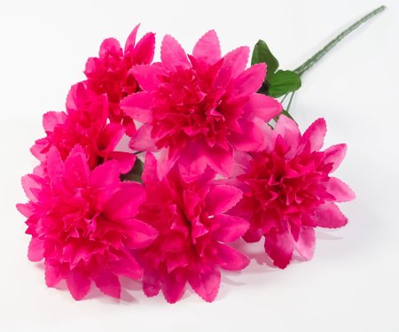 Шафран "Звезда малая" 6 веток