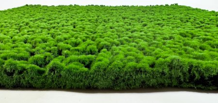 картинка Газон "Моховый" от магазина KALINA