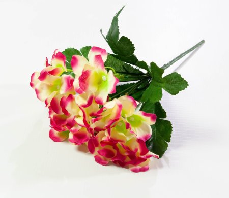 aad9dbbbf05bcd79528ffddd45e2f7b5