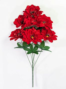 Бархатный георгин  7 цветков от магазина KALINA являющийся официальным дистрибьютором в России 