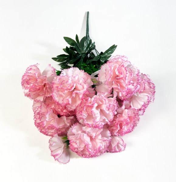 Букет гвоздик "Мадлен" 9 цветков