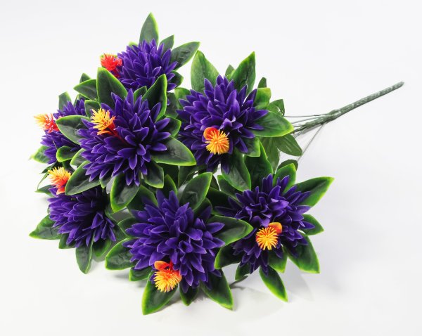 Хризантема "Ариадна" 7 цветков