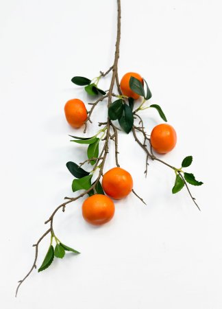 Ветка мандарина 5 плодов