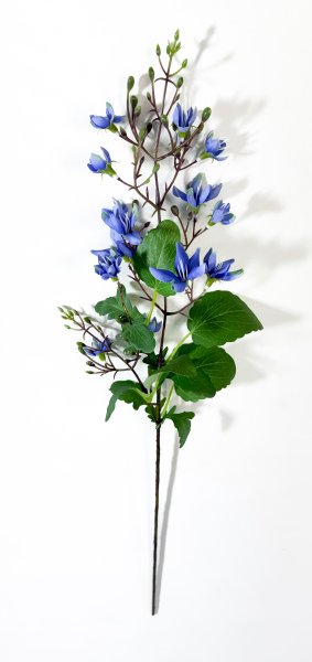 Дейция гибридная голубая