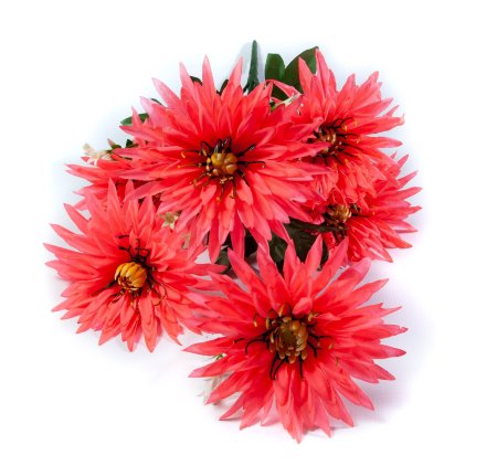 Букет астры " Краб"