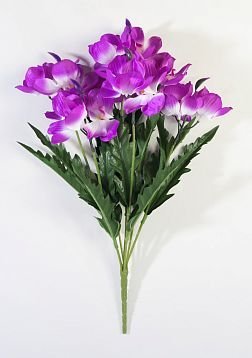 Орхидея "Велес" 21 цветок от магазина KALINA являющийся официальным дистрибьютором в России 