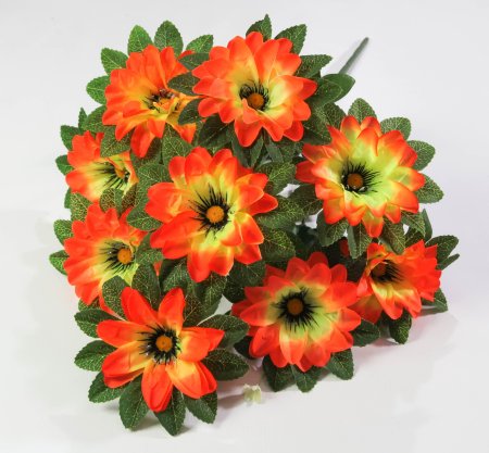 Георгин "Дуэт" 9 цветков 