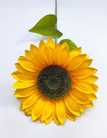 Подсолнух "Золотой август" 1 цветок