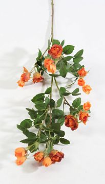 Кустовая роза оранжевая от магазина KALINA являющийся официальным дистрибьютором в России 