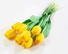 7fe1b7bfe6a1ce4ad070475a4cb0748f