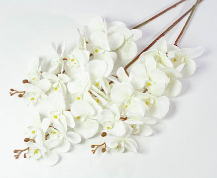 Ветка орхидеи "Клеопатра" 5 от магазина KALINA являющийся официальным дистрибьютором в России 
