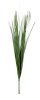 картинка Пеннисетум (Лисий хвост) 75 см 5 веток от магазина KALINA