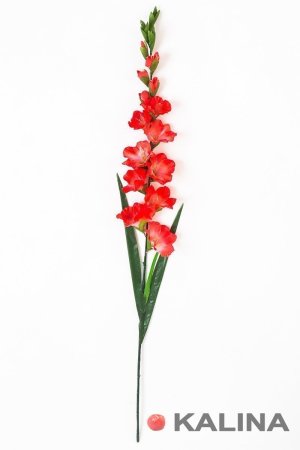 Ветка гладиолуса 9 цветков 8 бутонов