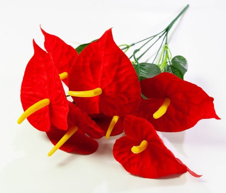 Букет калл разноцветных 7 цветков