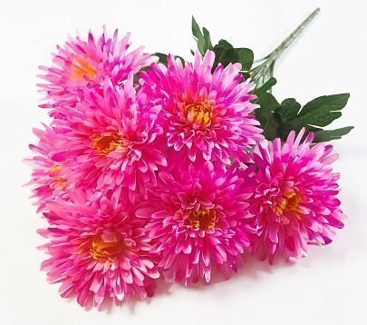 Астра "Богиня солнца" 7 цветков от магазина KALINA являющийся официальным дистрибьютором в России 