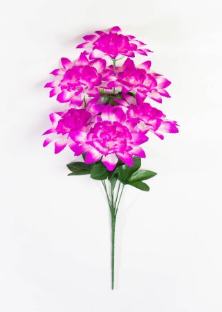 Шафран "Звезда малая" 6 веток