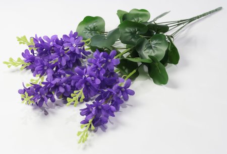 Дельфиниум