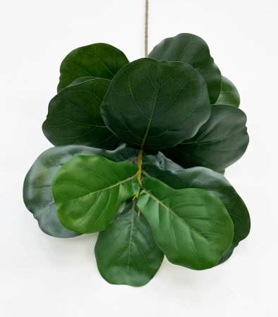 картинка Лирата темно-зеленая 15 листов от магазина KALINA