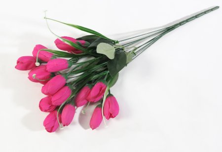 Крокус 18 цветков