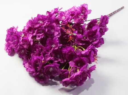 Ветка яблони 5 веток