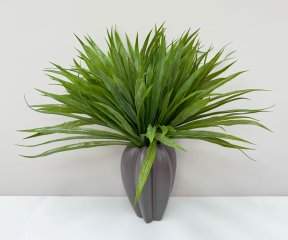 картинка Осока "В саду" от магазина KALINA