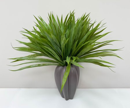 картинка Осока "В саду" от магазина KALINA