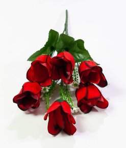 IMG_4822